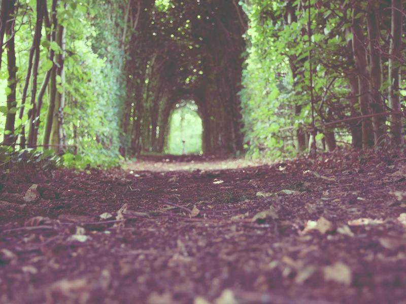 账号批量管理<br>多账号统一登录与操作教学